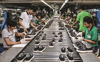 Sản xuất giày da